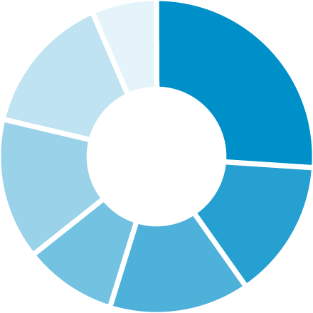 Kreisdiagramm